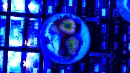 A41F1761-FAB9-4CD6-A1B3-8FBF7BBA6179.jpg