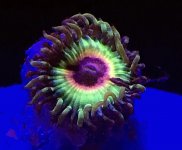 1C241068-8DF3-4D7B-AE2C-B85CA039BCE4.jpeg