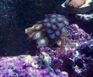 100_0511.JPG