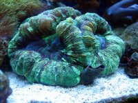 IMG_2267.JPG