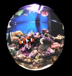 DSCN0131.jpg