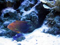 IMG_0026.JPG