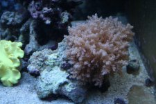 IMG_0308.JPG
