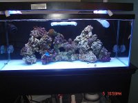 tank1.jpg