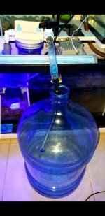 Screenshot_20181022-135813_Gallery.jpg