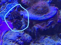 snail2.jpg