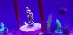 20190112_193532.jpeg