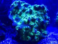 84195F08-6D98-465C-BBC3-B03452FD3C1A.jpg