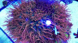 IMG_3396.jpg