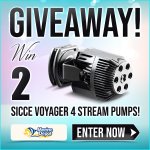 GIVEAWAY-Win-2-Sicce-Voyager-4-Steam-Pumps-social2.jpg