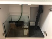 RSR250 Sump Area.jpg