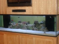 tank5.jpg