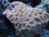 DSC03016.JPG