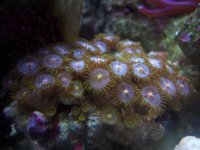 100_2066.JPG
