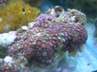 DSCN3165.jpg