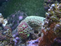 DSCN3171.jpg