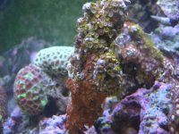 DSCN3172.jpg