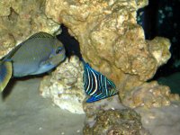 IMG_0002.jpg
