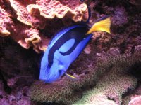 IMG_0117.JPG