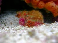 DSCN4597.JPG