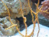 IMG_0410.jpg