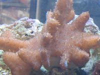 IMG_0413.jpg