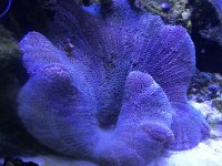D812C9FE-DC76-4547-823E-925C3B8D4713.jpeg