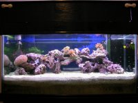 full tank.jpg