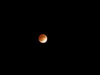 lunareclipsefull11_08_03_sm.jpg