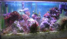 tank1.jpg