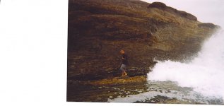 catching copepods.jpg