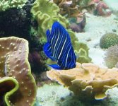 navarchus10-02.jpg