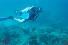 dive pic (custom).jpg