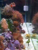 042003sideview.jpg