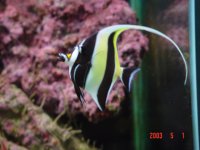 dsc01565.jpg