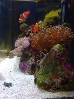 dad's reef right side.jpg