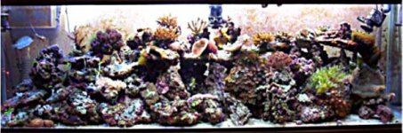 front view of tank.jpg