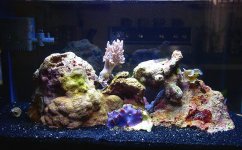 living room side tank 01-04.jpg