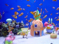 dsc02088.jpg