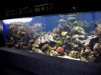 barrier reef 6 small_9_2_03.jpg