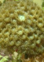 dsc00088.jpg