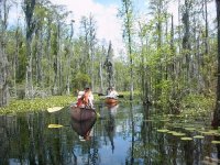 swamp canoe trip.jpg