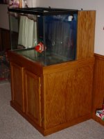 dsc01309.jpg