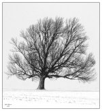 img_6119_edited.jpg