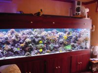 shot 1.jpg