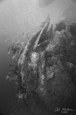 0003-27bw.jpg