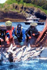 commercialcatchrelease.jpg