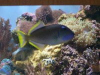 img0137.jpg