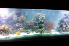 120mid (small).jpg