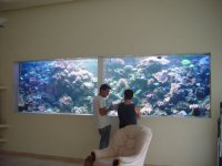dsc02870.jpg
